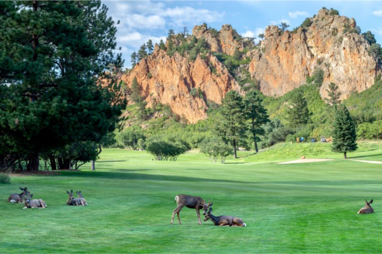 Visiting Larkspur, Colorado Growing Rocky Mountain Community